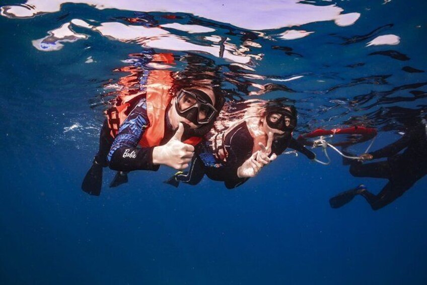 A person scuba diving underwater with fins and a mask. 1