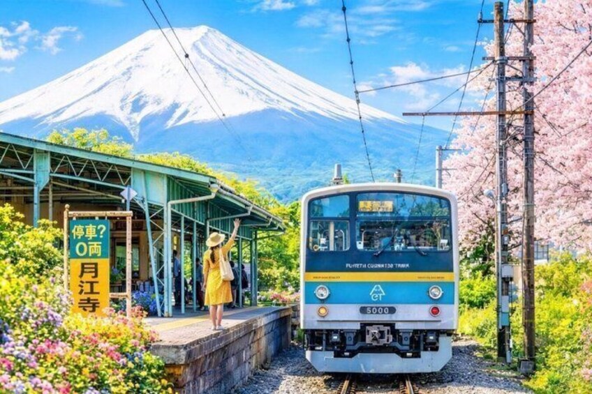 A train at a station with a mountain in the background. 1