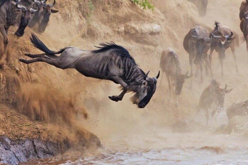 5 Day Tanzania Safari Tour 5