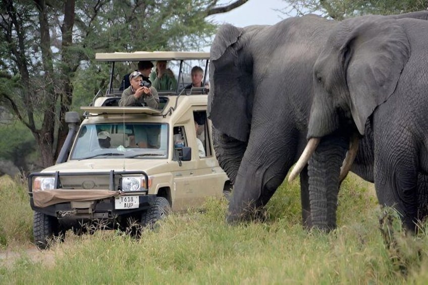 5 Day Tanzania Safari Tour 1