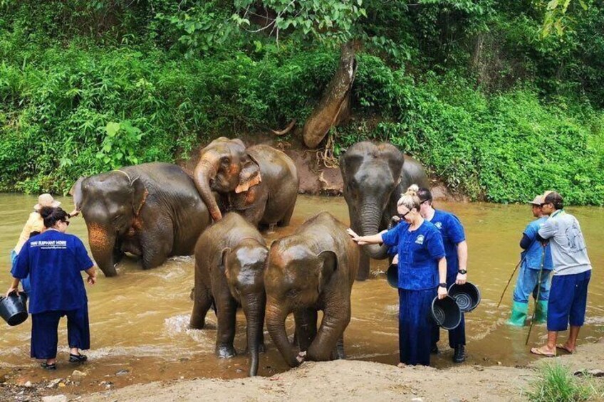 White Water Rafting And Elephant Sanctuary And Waterfalls 5