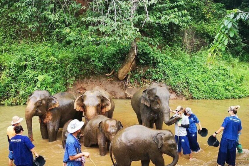 White Water Rafting And Elephant Sanctuary And Waterfalls 4