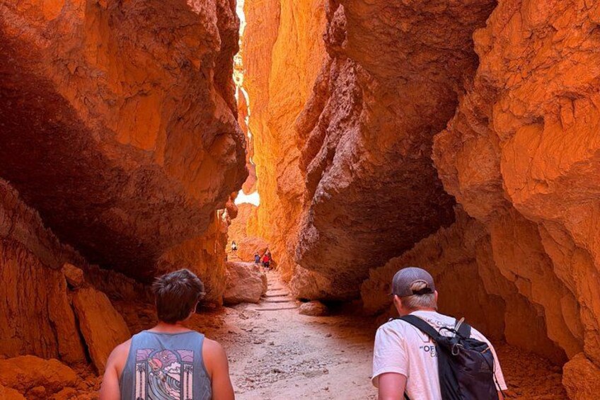 A narrow canyon with red rock walls and a trail. 3