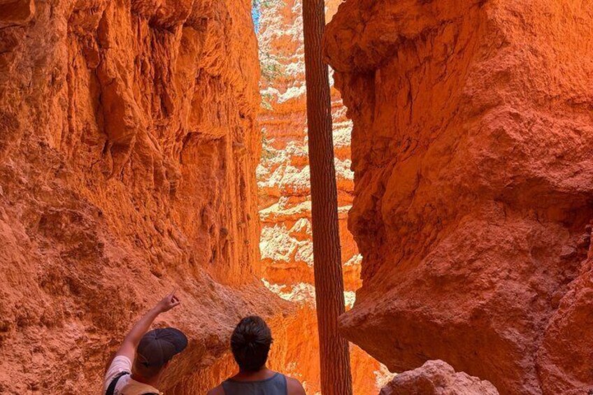 Bryce Canyon Guided Hike Conquer the Hoodoos 5