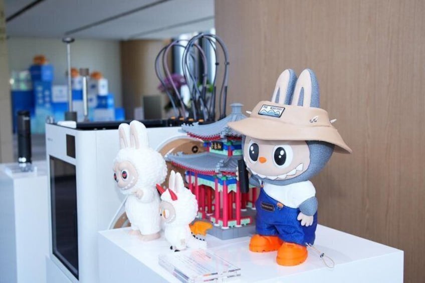 Shenzhen Future Tech Tour with Drones and 3D Printing 5