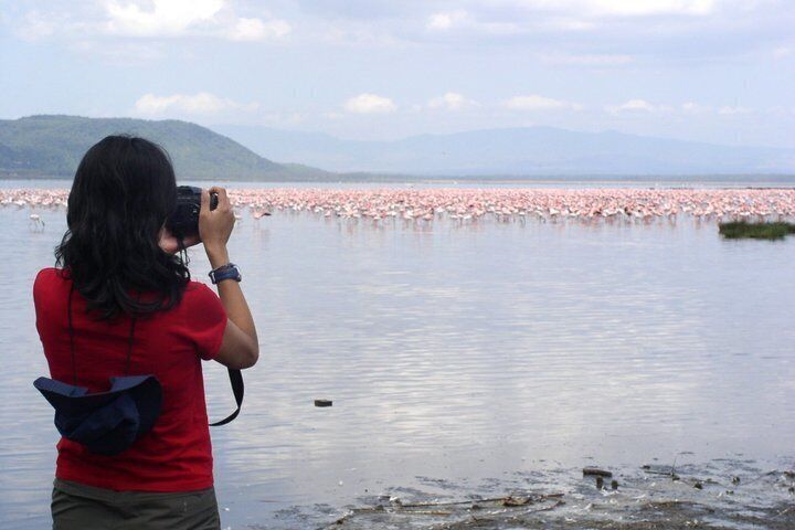 A person taking a photo of a large number of pink flamingos in a body of water with mountains in the background. 1
