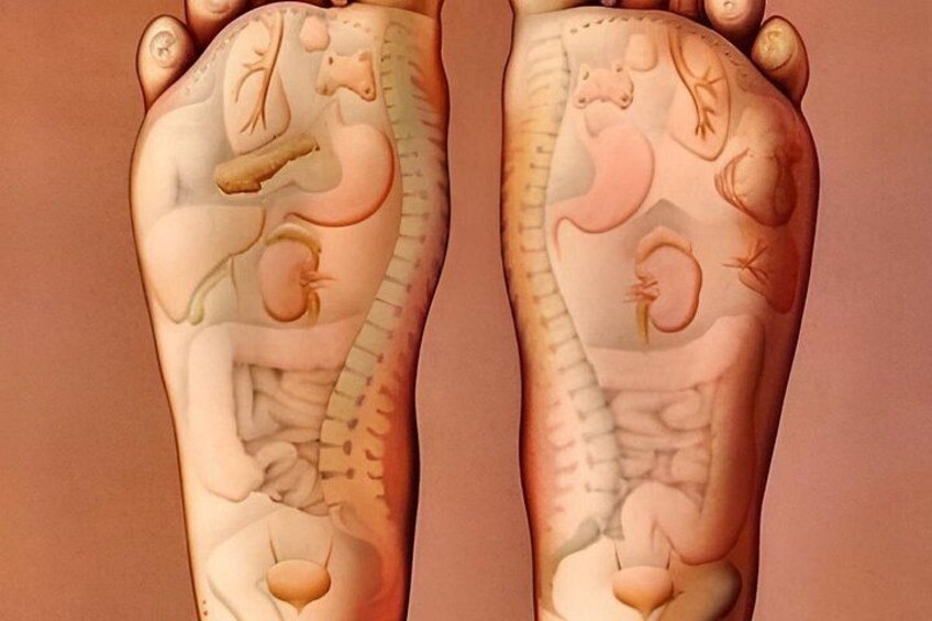 Foot Reflexology Massage Wellness from Your Feet 3
