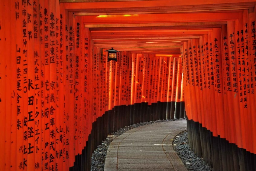 Picture 6 for Activity From Osaka: Nara and Kyoto Day Trip by Train with Guide 2