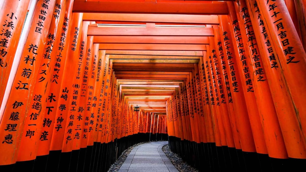 Picture 9 for Activity From Osaka: Nara and Kyoto Day Trip by Train with Guide 3