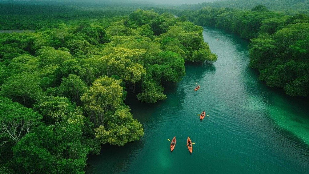 Picture 2 for Activity Santo Domingo: Samaná, Los Haitises, & Cayo Levantado Tour 3