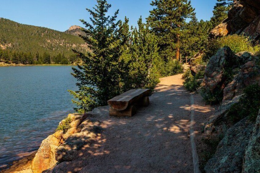 A lakeside bench, a dirt path, and surrounding trees. 4