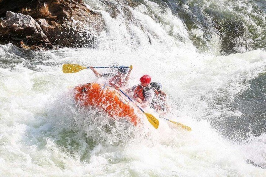 Alberton Gorge Half Day Rafting Adventure 5