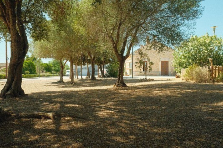 A park with trees, a building, and a fence. 2