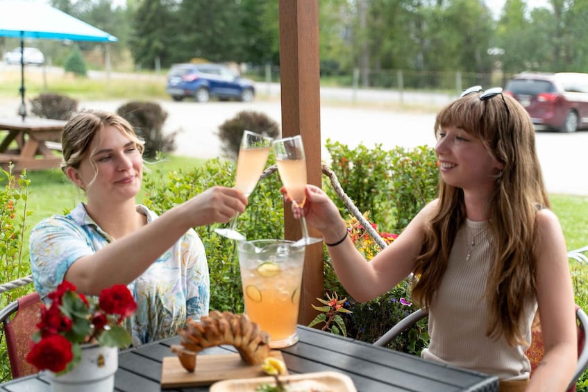 Two people toasting with drinks at an outdoor table with a drink pitcher, surrounded by greenery and a picnic table in the background. 5