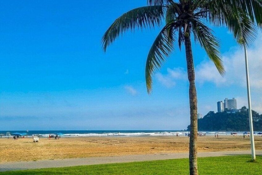 Private São Paulo Beach Tour: History Gastronomy Nature 2