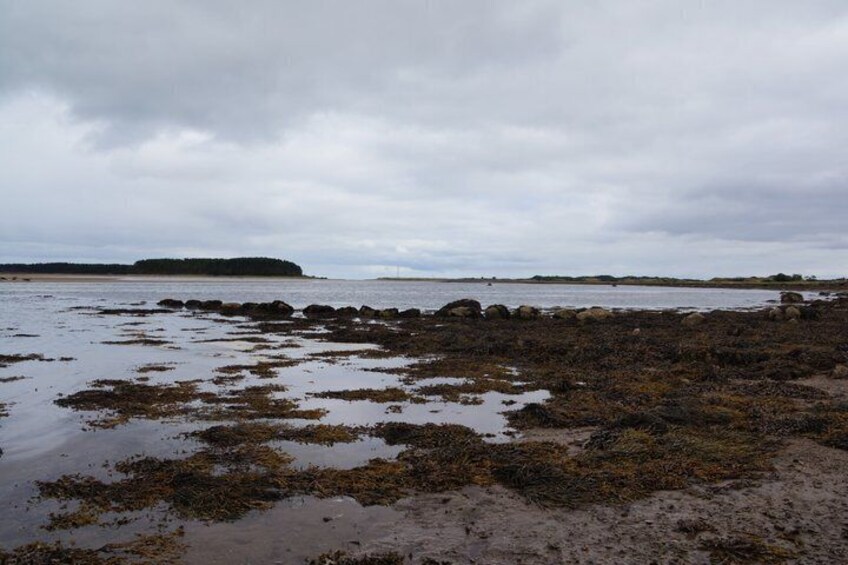 Northern Sights Experience Dunrobin Castle, Dornoch and Whisky 4