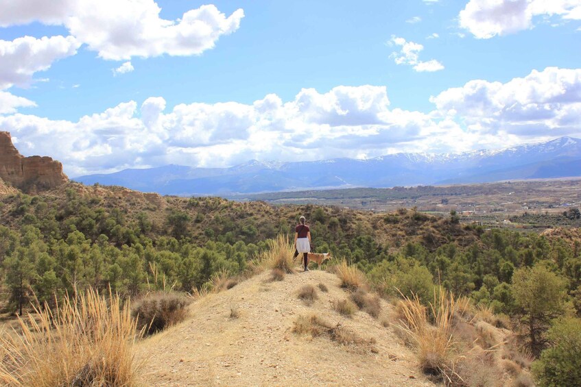 From Granada: Granada Geopark, Guadix and Troglodyte City 1
