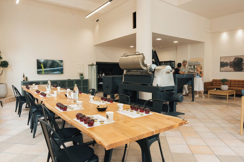 Athens: Guided Olive Oil Tour with Tasting & Snacks 4
