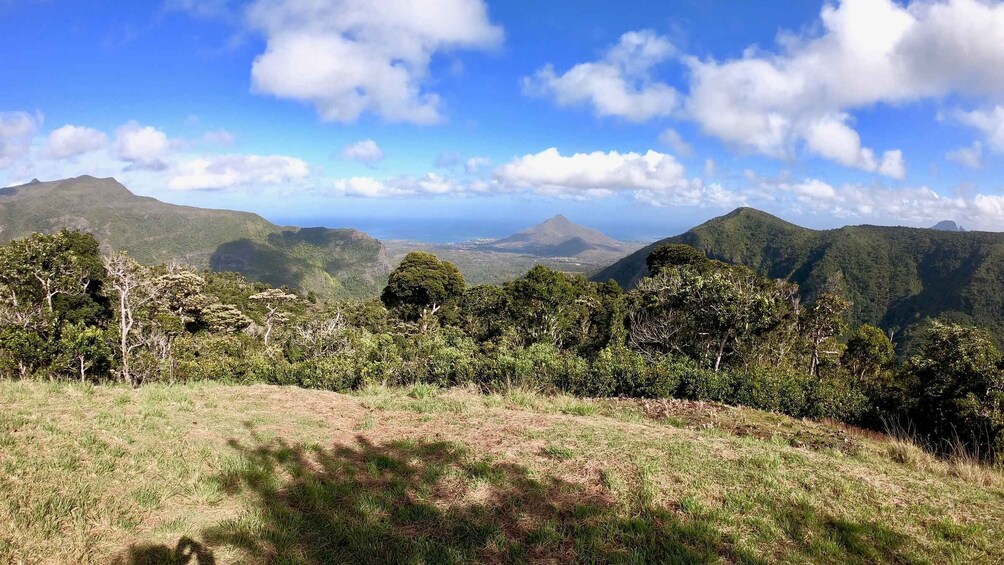 Picture 11 for Activity Endemics of Mauritius: A Curated Walk (Bird-Watching) 2