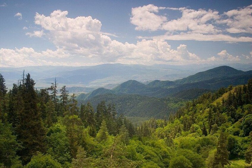 A mountainous landscape with dense forests and a clear sky. 3
