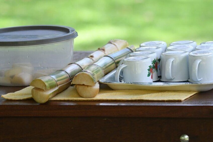 Private Llanos de Cortes Chocolate Coffee and Sloths 3