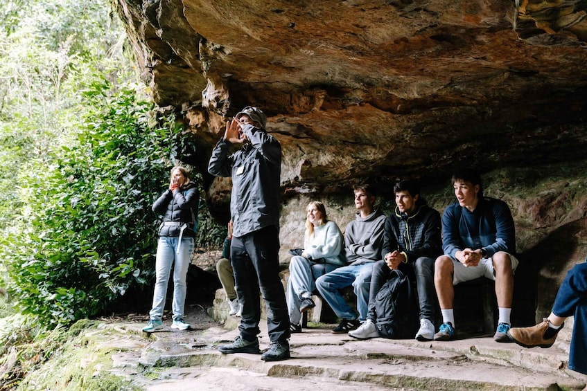 Picture 28 for Activity Sydney: Small Group Blue Mountains, Wildlife & Waterfalls 2