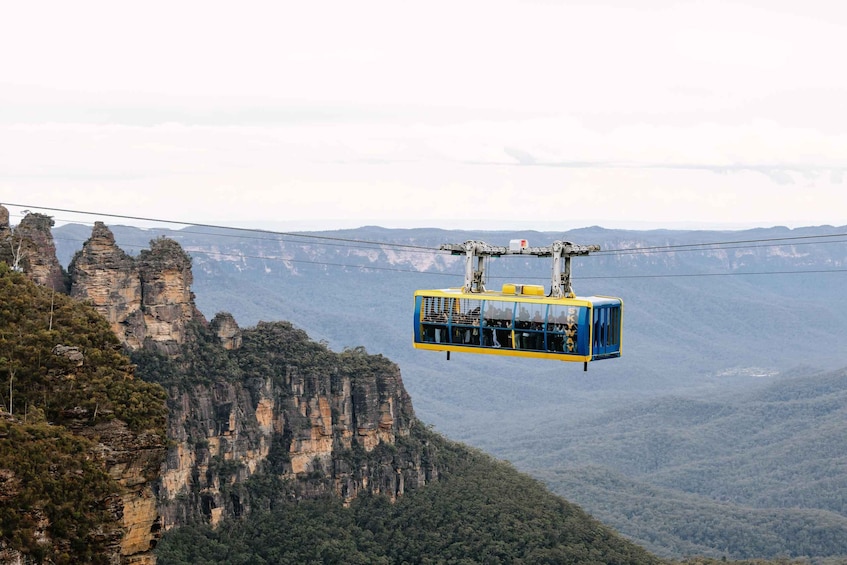 Picture 5 for Activity Sydney: Small Group Blue Mountains, Wildlife & Waterfalls 4