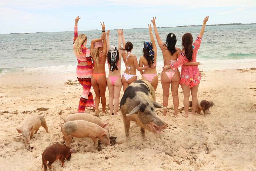 Nassau: Adults Only Booze & Cruise with Snorkeling and Pigs 1