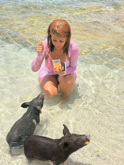 Picture 9 for Activity Nassau: Adults Only Booze & Cruise with Snorkeling and Pigs 4