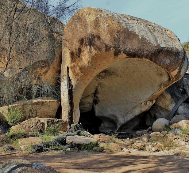 Picture 1 for Activity Perth: Wave Rock Scenic Flight and Half-Day Ground Tour 5