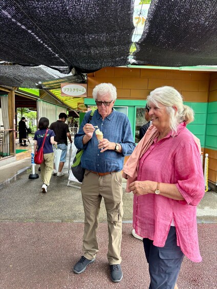 Picture 13 for Activity From Matsumoto: Daio Wasabi Farm & Azumino Local Life Tour 2