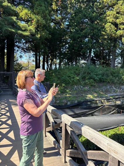 Picture 20 for Activity From Matsumoto: Daio Wasabi Farm & Azumino Local Life Tour 2