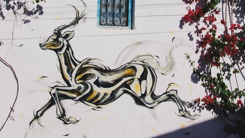 Picture 19 for Activity Djerba: Pottery, El Ghriba Synagogue & Djerbahood Street Art 5