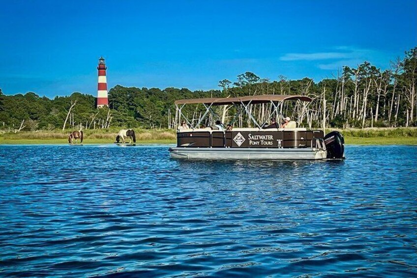 Saltwater Pony Tours Chincoteague Assateague Wild Pony Boat Tour 5