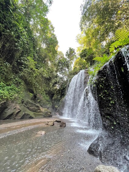 Picture 8 for Activity Bali: 3 Hidden Waterfalls & Sacred Water Blessing Experience 2