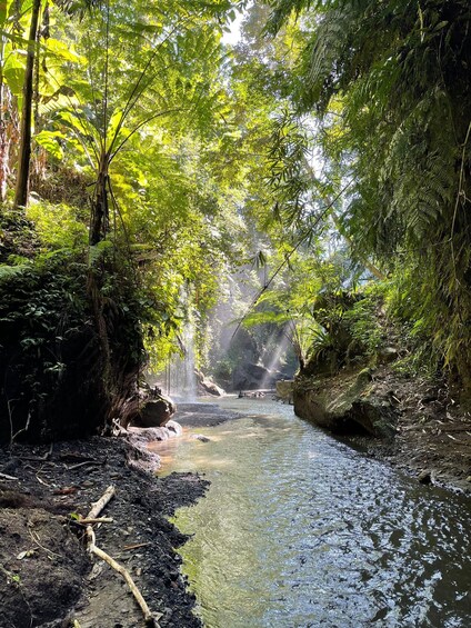 Picture 5 for Activity Bali: 3 Hidden Waterfalls & Sacred Water Blessing Experience 4