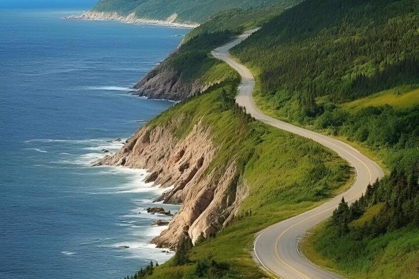 A coastal road winding through a forested hillside. 3