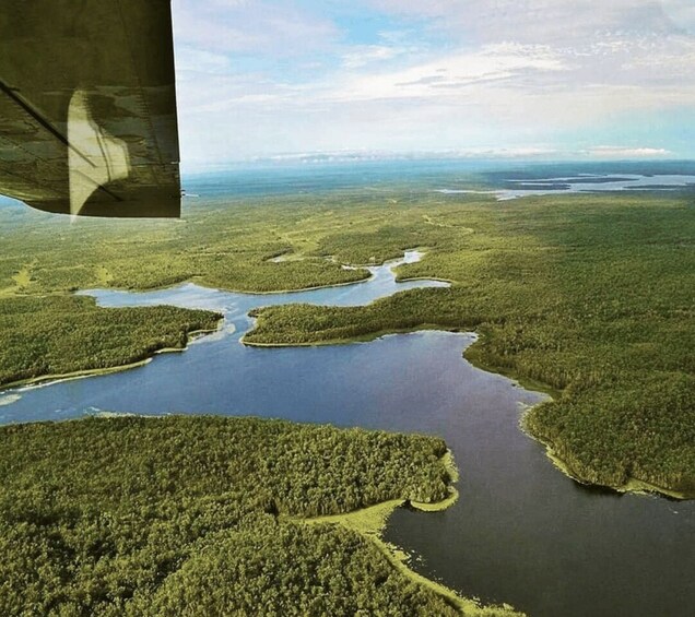 Picture 4 for Activity Darwin: Kakadu & Mary River Scenic Flight from Darwin 4