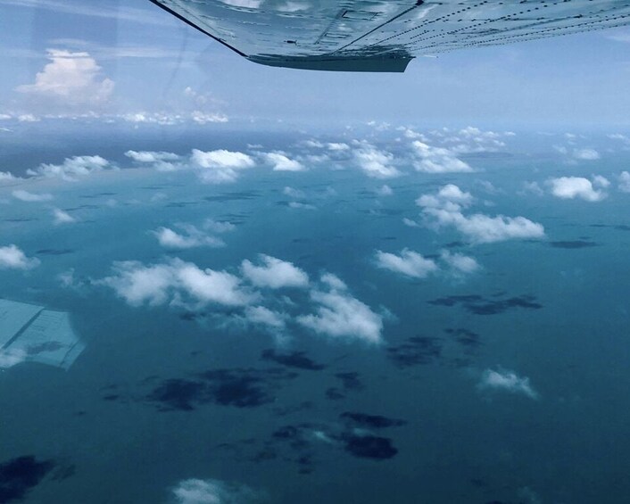 Picture 1 for Activity Darwin: Kakadu & Mary River Scenic Flight from Darwin 3