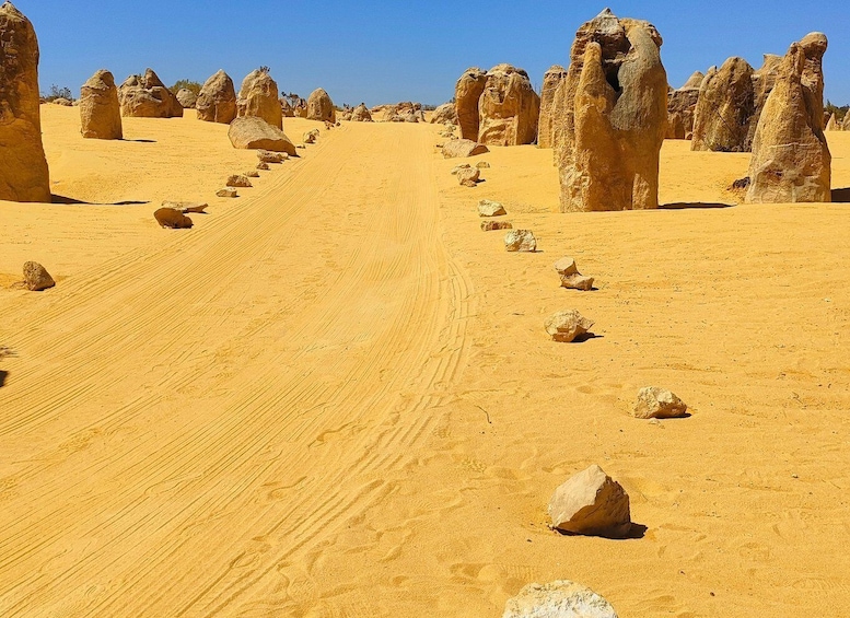 Picture 6 for Activity From Perth: 3-Day Kalbarri, Pinnacles, & Pink Lake Tour 4
