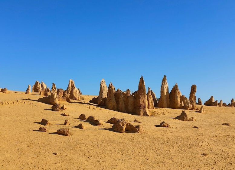 Picture 8 for Activity From Perth: 3-Day Kalbarri, Pinnacles, & Pink Lake Tour 3