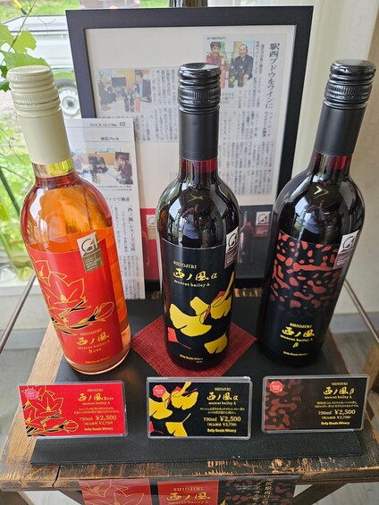 Picture 6 for Activity Japanese Wine Experience: Private Boutique Winery Tour 2