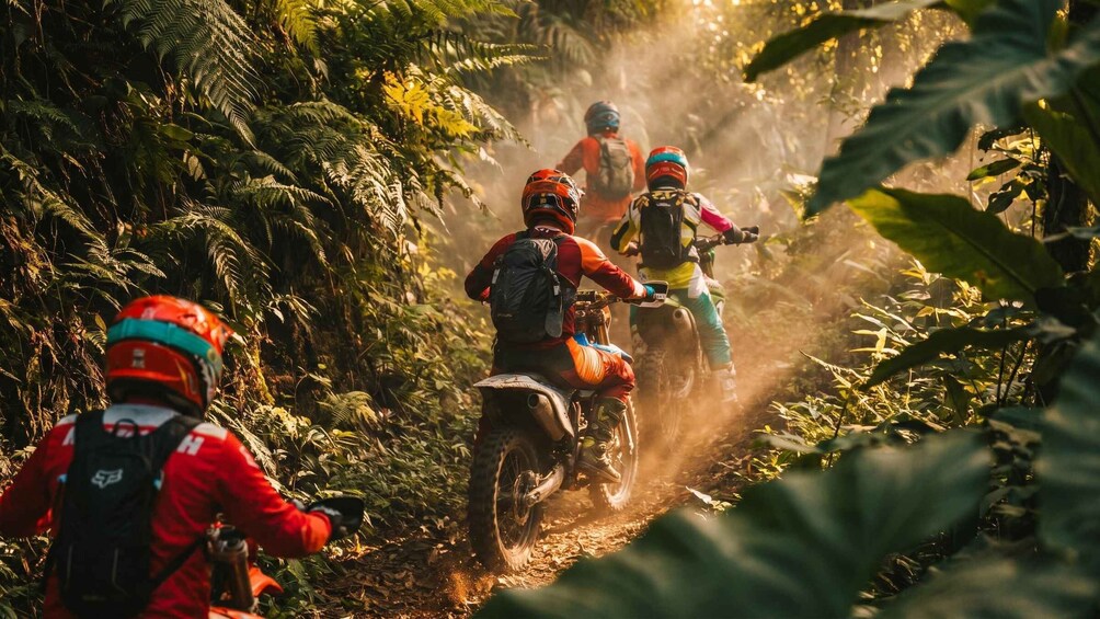 A group of motorcyclists riding through a forested trail. 2