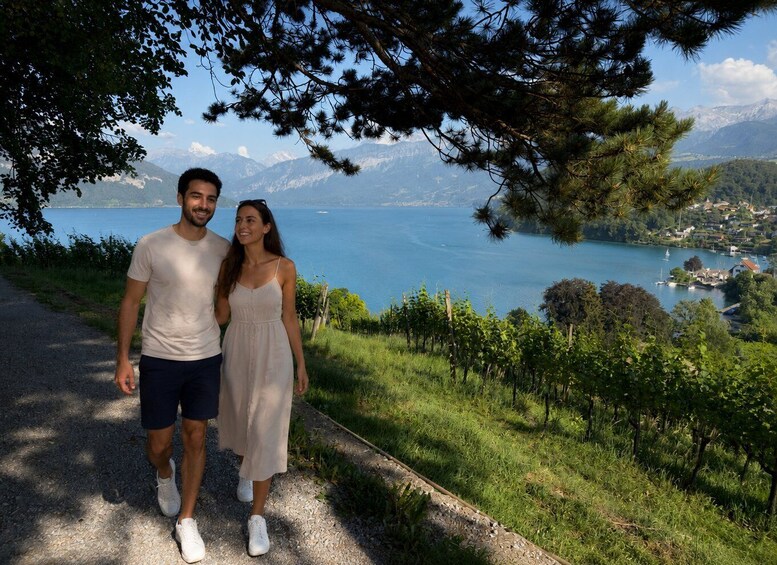 Picture 1 for Activity Interlaken: Wine & Cheese Tasting at Spiez Castle Vineyards 5