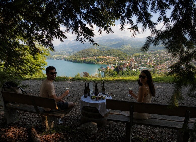 Picture 3 for Activity Interlaken: Wine & Cheese Tasting at Spiez Castle Vineyards 2