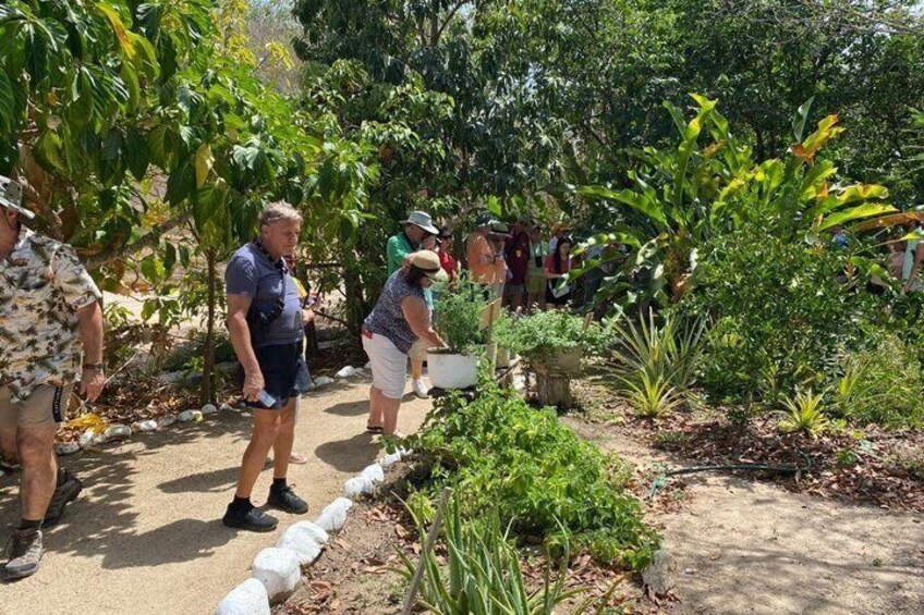 Colors and Smells and Flavors of Huatulco 1