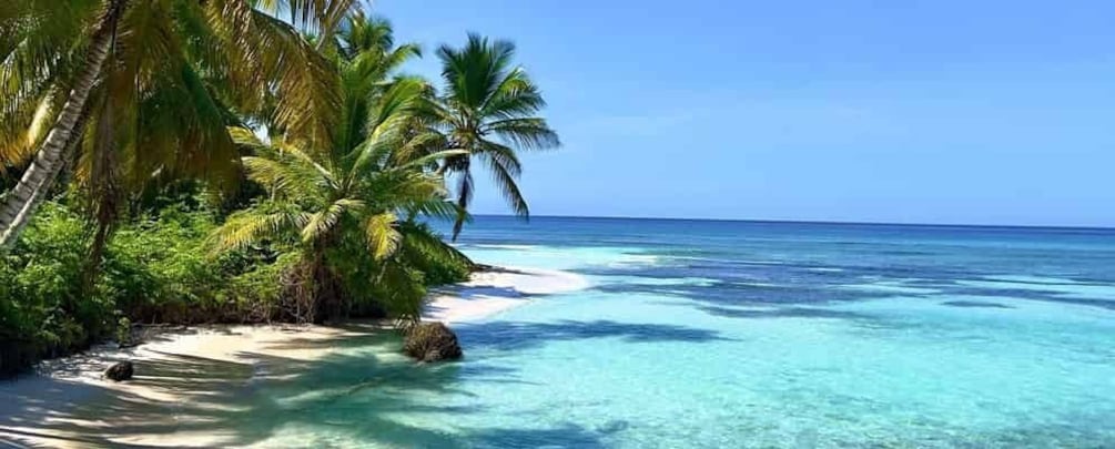 Picture 3 for Activity Punta Cana: Macao beach with Shopping and lunch tour 5