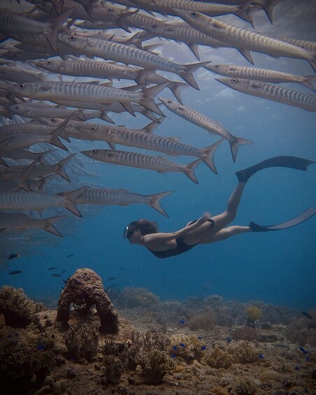 Picture 1 for Activity Siquijor: Island and Coastal Nature Tour with Transfers 2