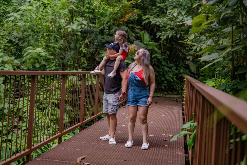 A family on a bridge surrounded by dense greenery. 3