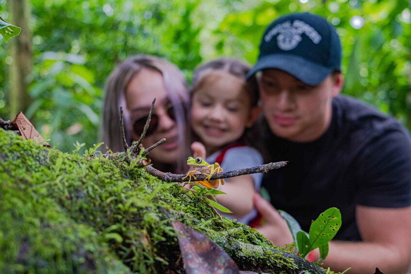 Picture 6 for Activity La Fortuna: Natura Eco Park Plus Admission and Guided Tour 4